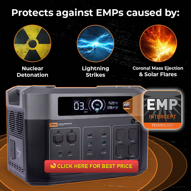 Grid Doctor 3300 Review: The EMP-Hardened Solar Generator System You Need