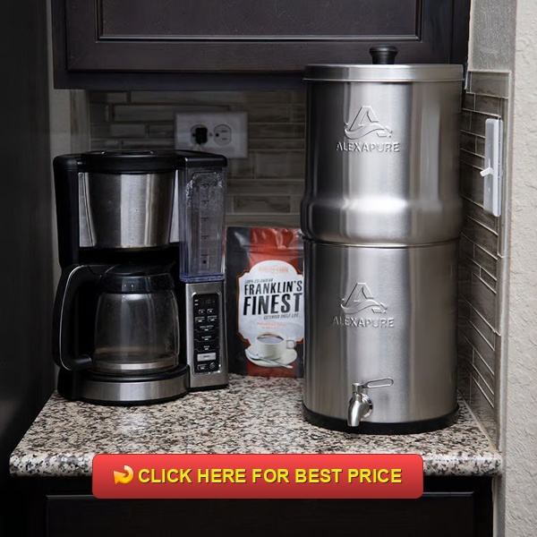 Alexapure Pro Review: Best Gravity Water Filter for Home & Emergency Use